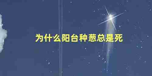 阳台种葱为什么烂根死(阳台种的葱为什么立不起来)